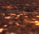 Waterlogged Wreckage