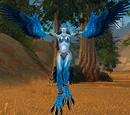 Witchwing Windcaller