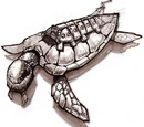 Giant turtle battle sub