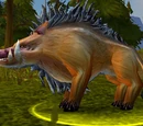 Elder Mountain Boar