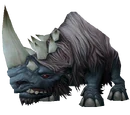 Rhinoceros