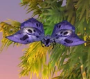 Ash Moth