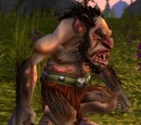 Stonesplinter Scout