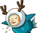 Anouki