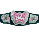 Wrestling Heaven Angels Championship