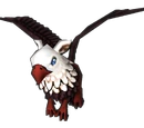 Griffon