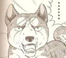 Tokimune