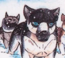 Kogoro