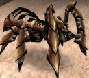 Silithid Hive Drone