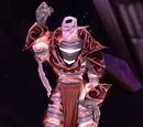 Zaxxis Raider