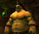 Boulderfist Enforcer