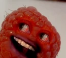 Red Raspberry