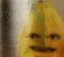 Papaya (Season 3)
