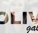 Folive/Gallery