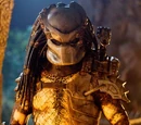 Crucified Predator