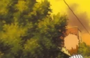 Ep350SadoIchigoWalk.png