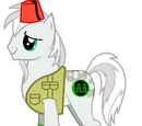 Pony