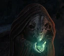 Pan