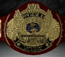 VWF Championship