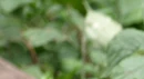 Example3.png