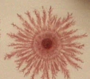 Cerámica moca