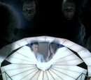 The Tribunal