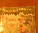 Tigers at Twilight