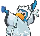 Snow Ninja