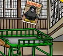 Rockhopper Spotters