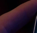 Jeff's cell phone
