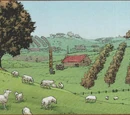 Pennilton