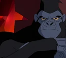 Grodd