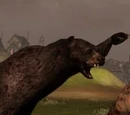 Codex entry: Bear