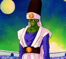 Pikkon
