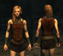 Dragonleather Vest