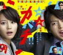 Tokujo Kabachi