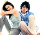 Kimi wa Petto