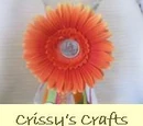 Crissy's Crafts