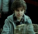 James Potter II