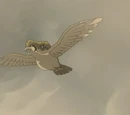 Vuelo