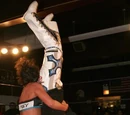 List of United Wrestling Federation employees