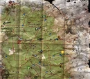Kaibab Forest