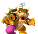 Crazy Bowser