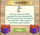 White Spotted Owl