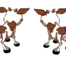 Calf