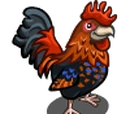 Gallic Rooster