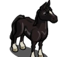 Thoroughbred Stallion
