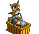 All Day Owl