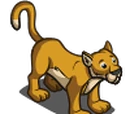 Mountain Lion