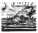 Silur Cha Crocodile